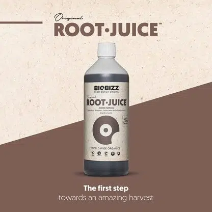 Root Juice Organic