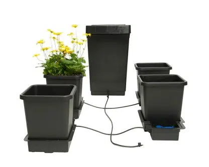 4 Pot System - Image 3