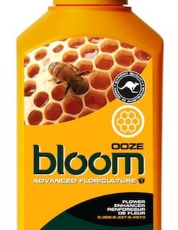 Bloom OOZE