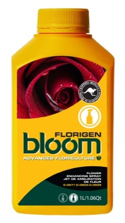 Bloom FLORIGEN