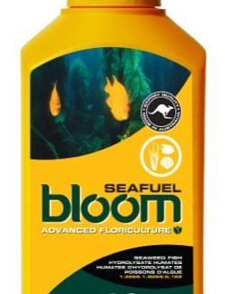 Bloom SEAFUEL