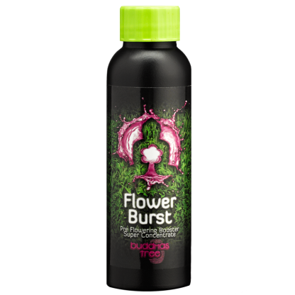 Flower Burst
