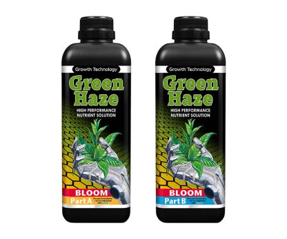 Green Haze Bloom