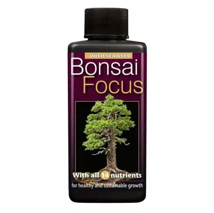 Bonsai Focus