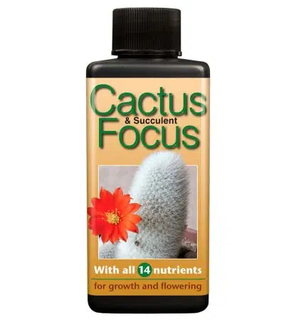 Cactus & Succulent Focus