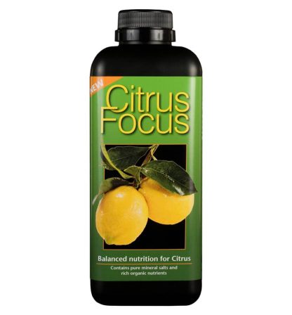 Citrus Focus