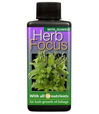 Herb Focus