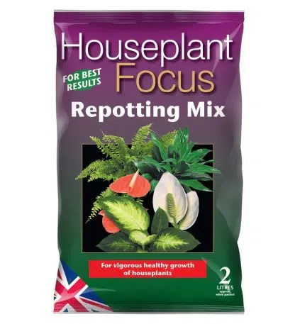 HousePlant Focus Repotting Mix