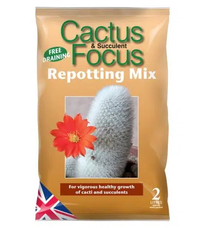 Cactus Repotting Mix