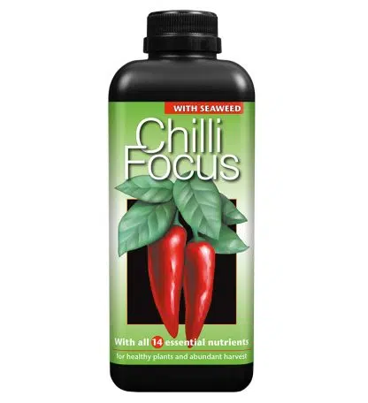 Chilli Focus