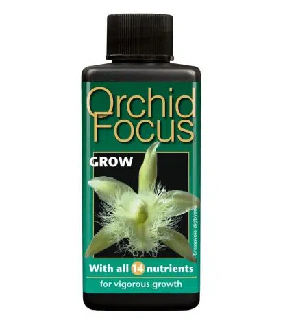 Orchid Focus Grow