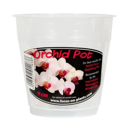 Clear Orchid Pot