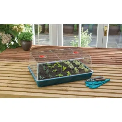 Large XL Unheated Propagator - High lid - Image 3