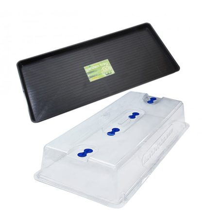 Giant Plus Propagator - Unheated