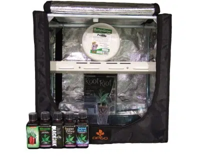 DP60-CT Chilli propagation kit T5