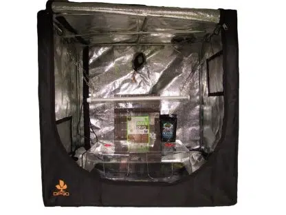 DP90-CL Chilli propagation kit LED