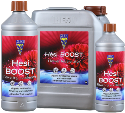 Hesi Boost