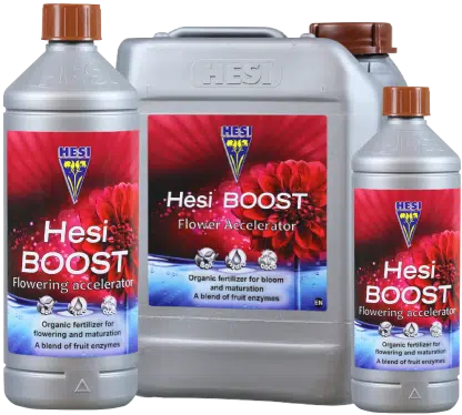 Hesi Boost