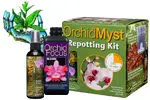 Orchid Focus