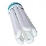 CFL Lamp 2700 kelvin - Red 125w