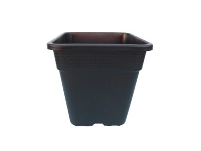 Square Pot 0.7L 10cm