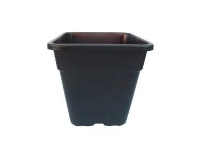 Square Pot 1.5L 13cm