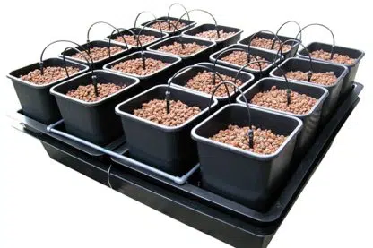 Wilma XXL 16 pot system