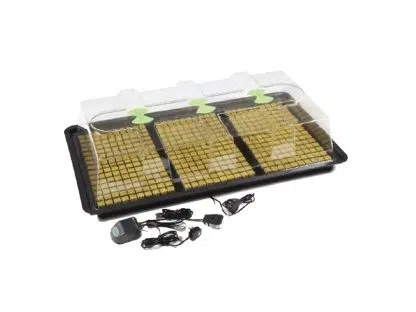 X-Stream Heated Propagator - Small