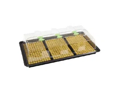 X-Stream Unheated Propagator - Large