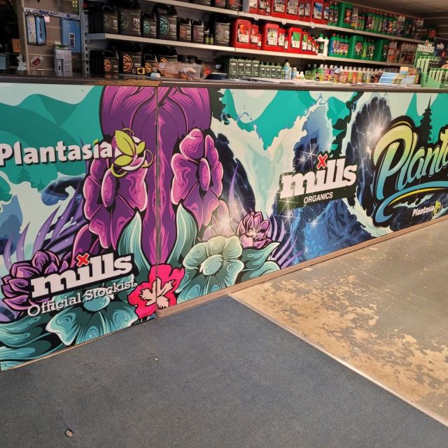 Awesome new bespoke counter frontage curtesy of @millspaysthebills_uk and the awesome Mills Marketing team.
If you havent tried #millsnutrientsuk yet we highly reccomend that you do, superb results and certified PGR free. If organic growing is your bag then the new Mills Organic range is the one for you, simple, highly effective and filtered meaning it can run through many different fertigation systems problem free.
We are fully stocked with both ranges, and if you need that little extra push, pop in and grab a free starter pack while stocks last.
#plantasia #millspaysthebillsuk #millsorganicsrange #giveustwopots #hydroponics #organics #nutrients #organicgrowing